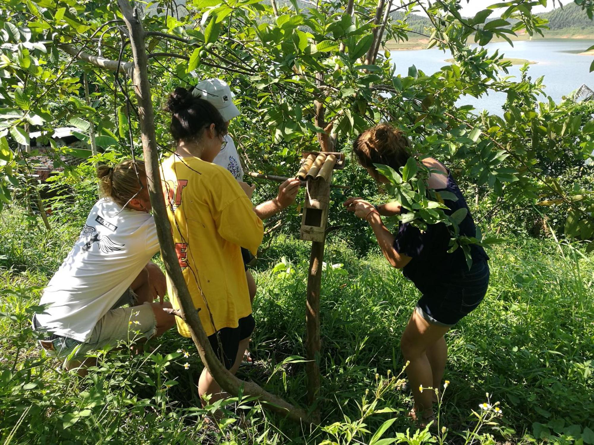 Lavievulinh Ecolodge Vu Linh Ngoại thất bức ảnh